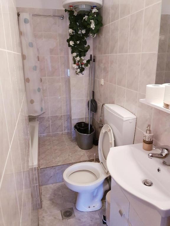 Apartmán Anastasia΄S Studio Near The Sea Alexandrupoli Exteriér fotografie